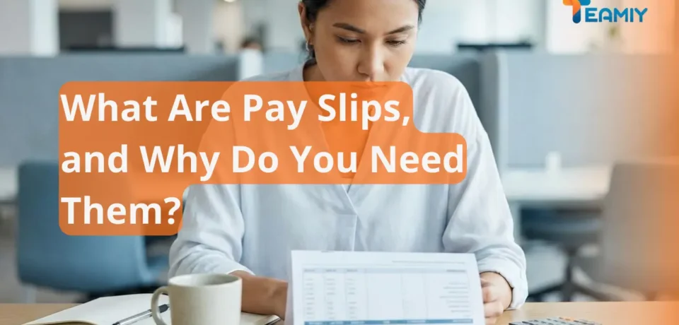 what are pay slips, and why do you need them